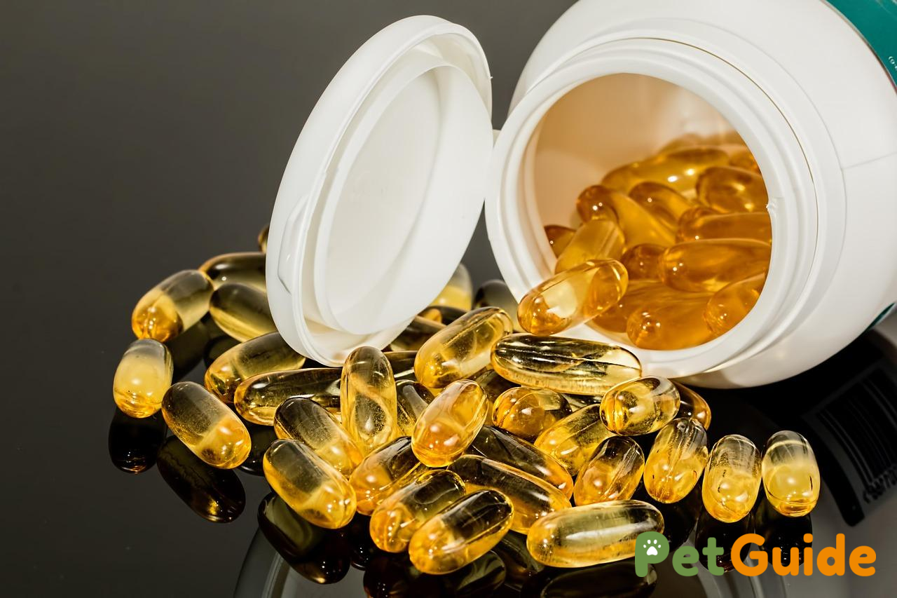 Omega-3 và dầu cá – bí quyết cho bộ lông mượt mà