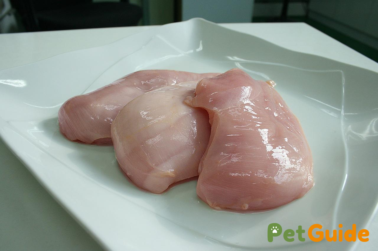 Cần chuẩn bị những nguyên liệu gì để nấu cháo cho mèo?