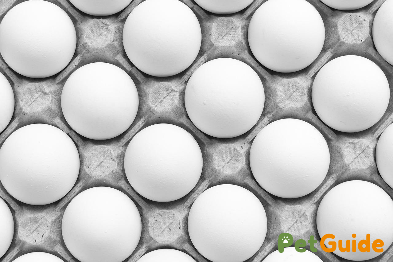 Protein chất lượng cao: Nền tảng cho làn da khỏe mạnh