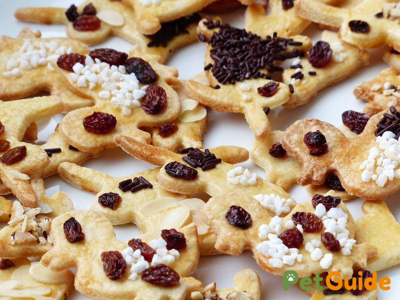 Vì sao bánh trung thu truyền thống lại nguy hiểm với chó?