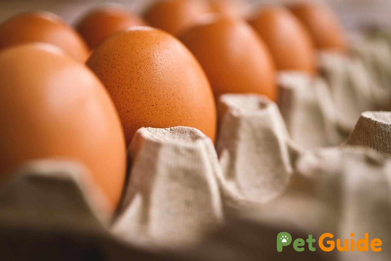 Xây dựng khẩu phần ăn giàu protein và chất béo lành mạnh