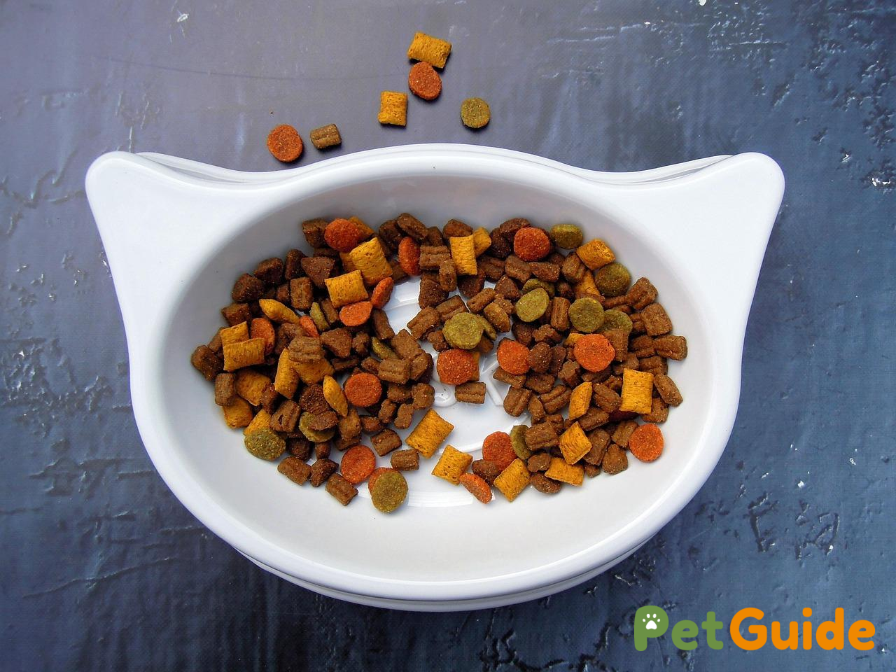 Chế độ dinh dưỡng giàu protein, ít carbohydrate cho mèo ốm