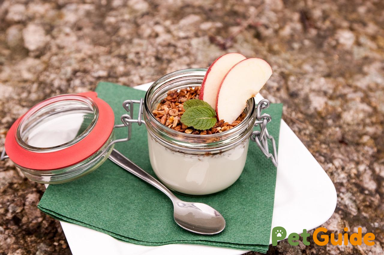 Nguyên liệu và dụng cụ nấu cháo yến mạch cho mèo