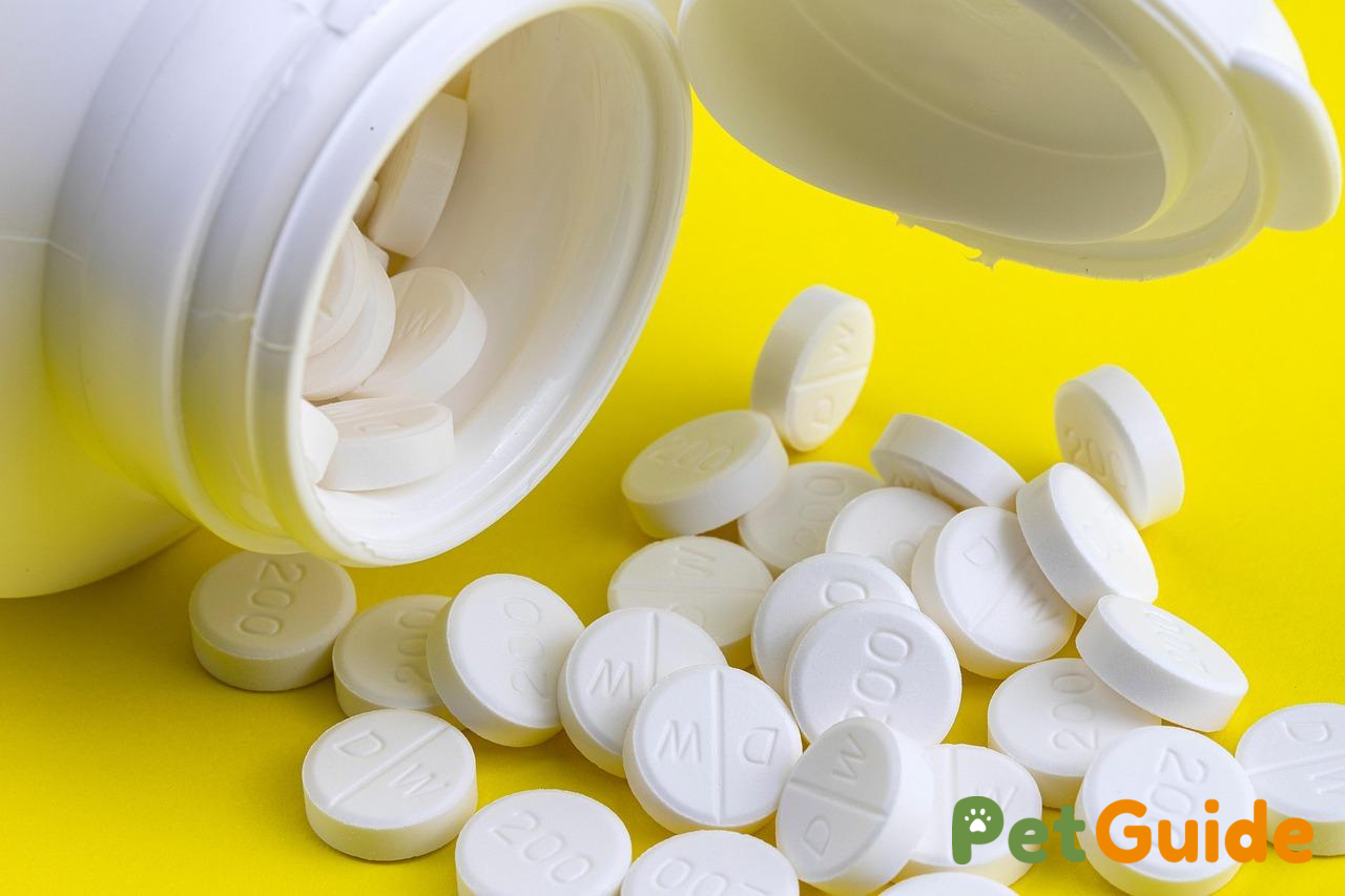 Bổ sung omega-3, nucleotide và L-arginine đúng cách