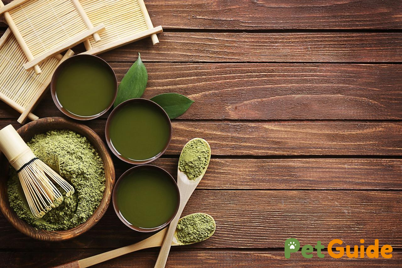 Vỏ trứng và các chế phẩm bổ sung canxi khác