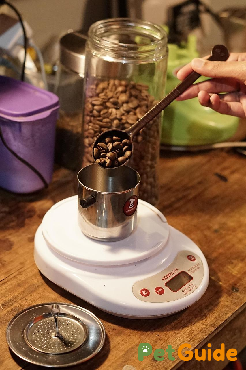 Lưu ý về lượng calo và kiểm soát cân nặng