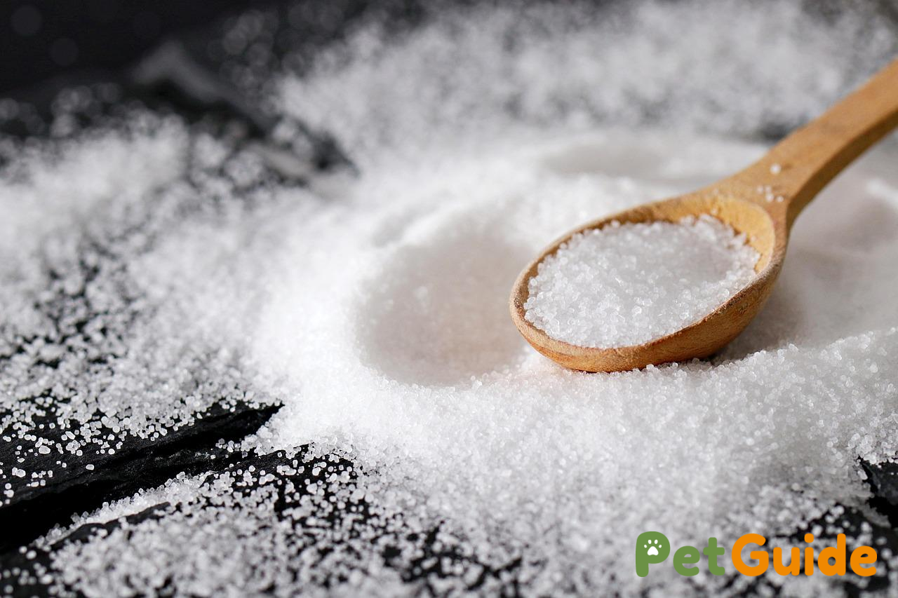 Làm sao để bữa ăn tự nấu đầy đủ dinh dưỡng?