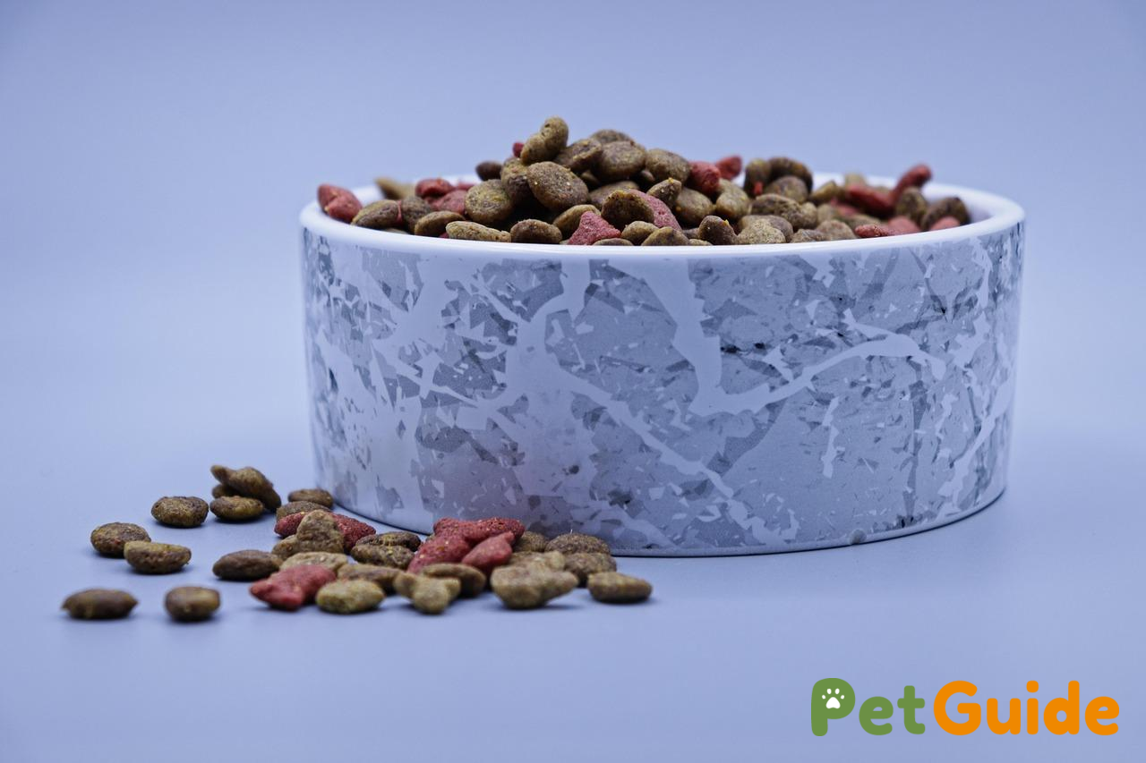Kết luận: Đâu là lựa chọn thức ăn hạt tốt nhất cho mèo của bạn?